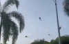 В Малайзии в воздухе столкнулись два вертолета, погибли 10 человек (видео)