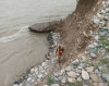 В Нарыне ищут 4-летнюю девочку, упавшую в реку