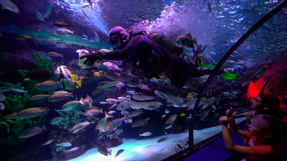 Antalya-Aquarium-1.jpg