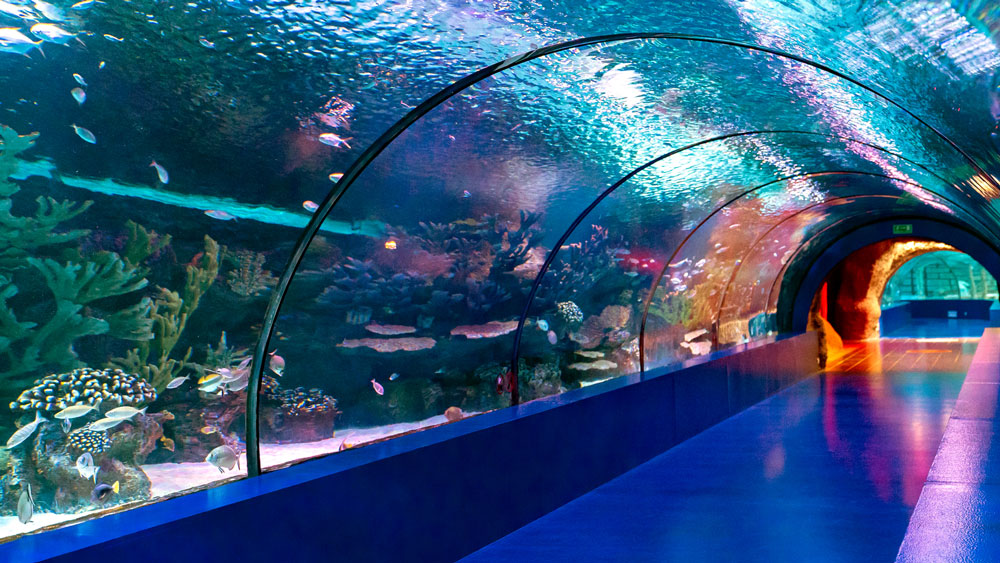 Antalya-Aquarium-3.jpg