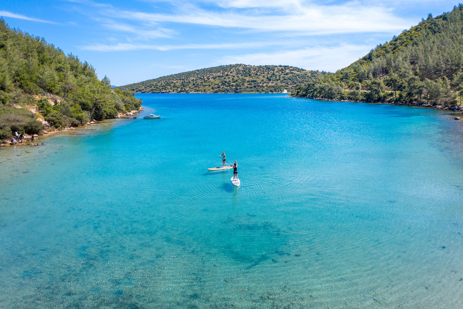Forested areas and marvellous bays 2