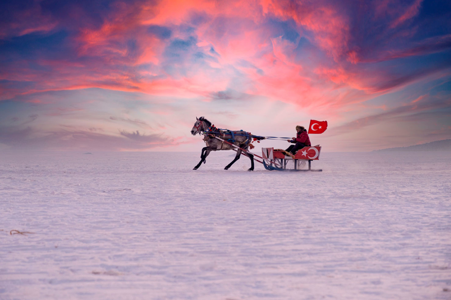 Снимок экрана 2026 02 17 215857