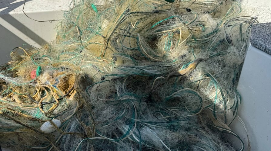 Браконьерам_здесь_не_место-_139_км_сетей_убрано_из_озераПо_итогам_первых_трёх_месяцев_2026_года_6.jpg