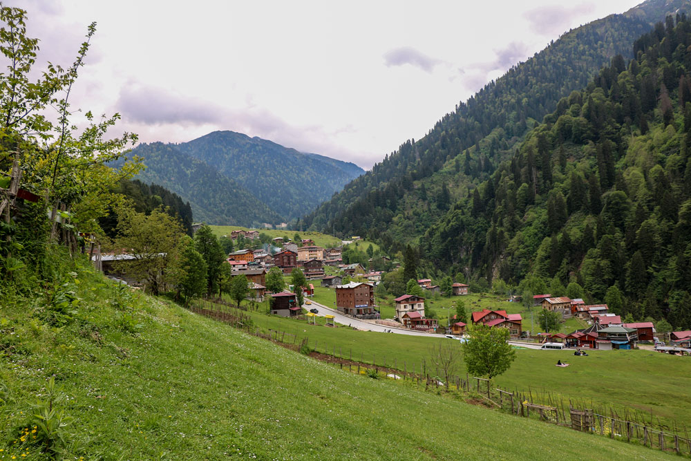 Ayder-Plateau-2.jpg