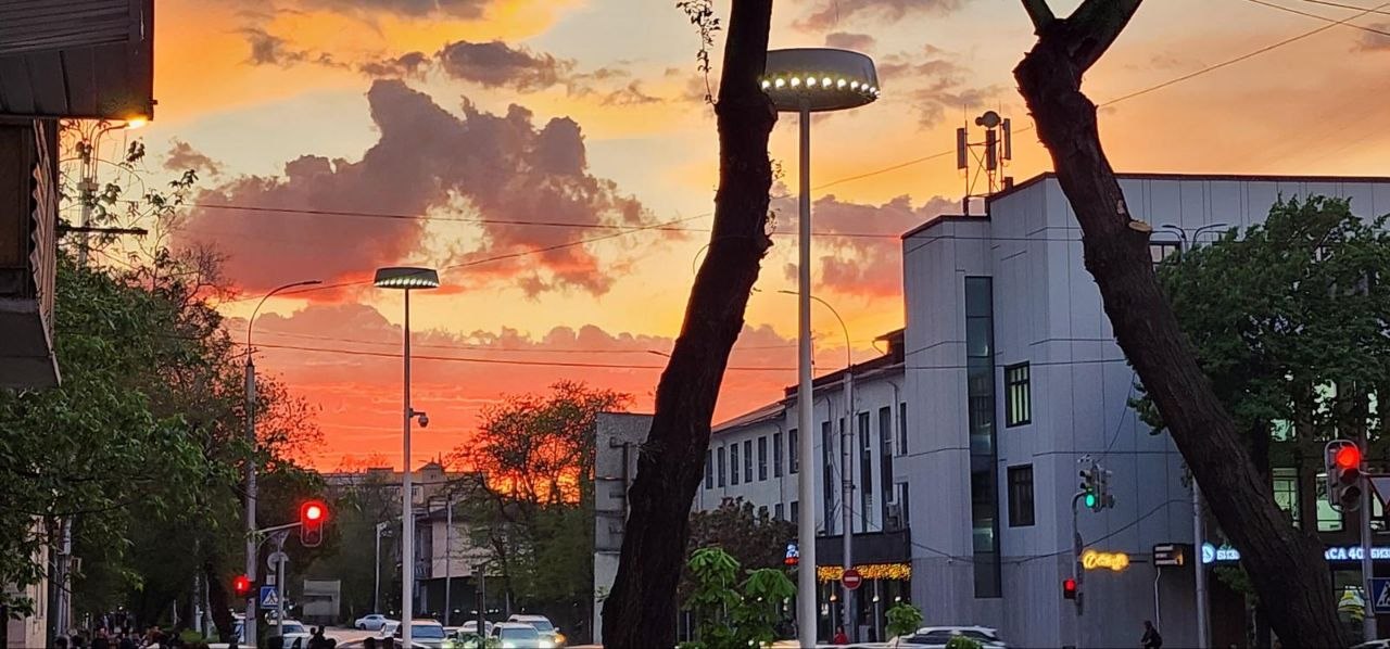 5452092663516567226.jpg
