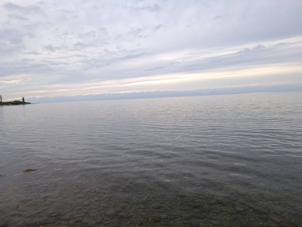 4147438.808324a1800c69c4fcd07f046273556b.jpg