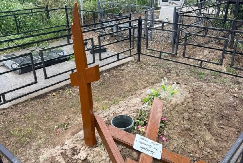445140.jpg