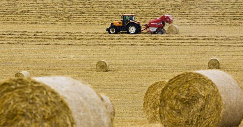 siccita-agricoltura.jpg