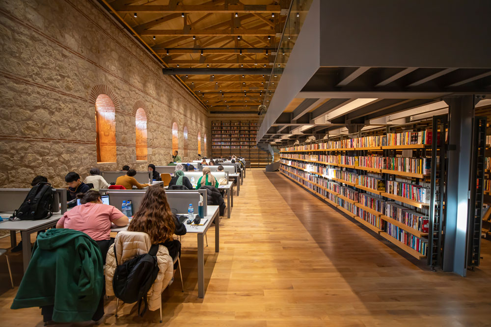 Rami-Library-4.jpg