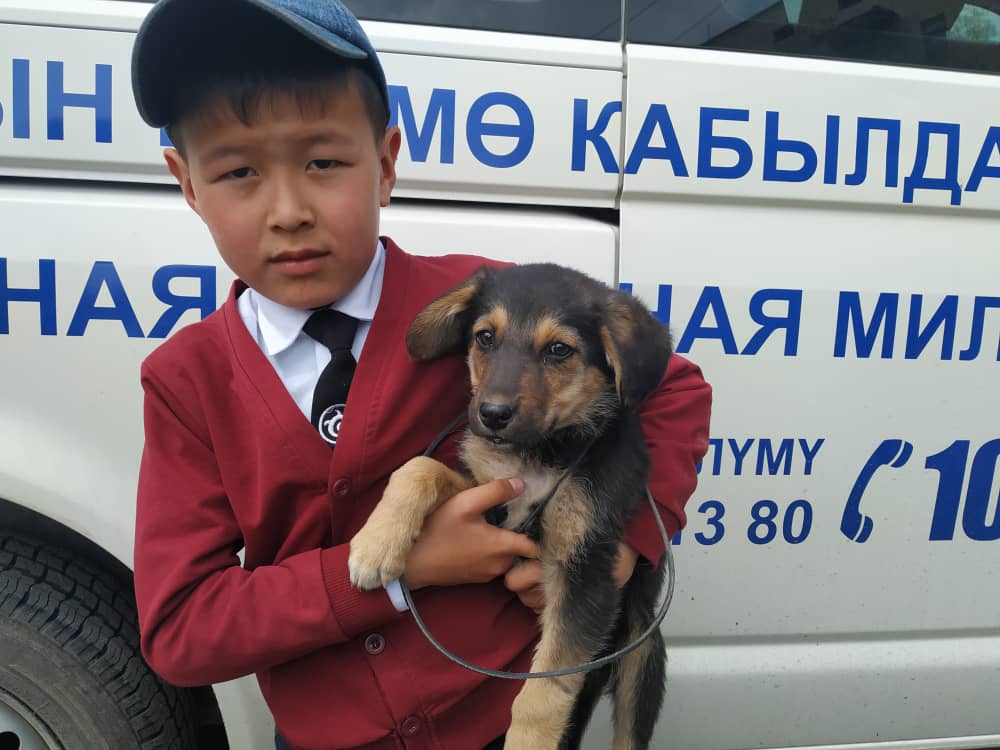 Мальчика отблагодарили. Карс спас собаку. Имена для собак мальчиков русские красивые. Йоширская собака мальчик. Жайтанов кабылда.