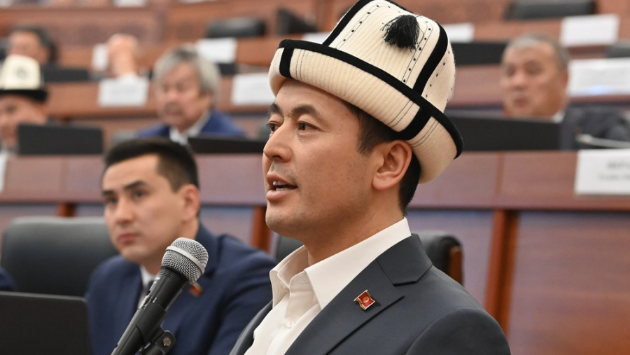 Депутат: В Кыргызстан едут только нищие туристы, от которых нам никакой пользы