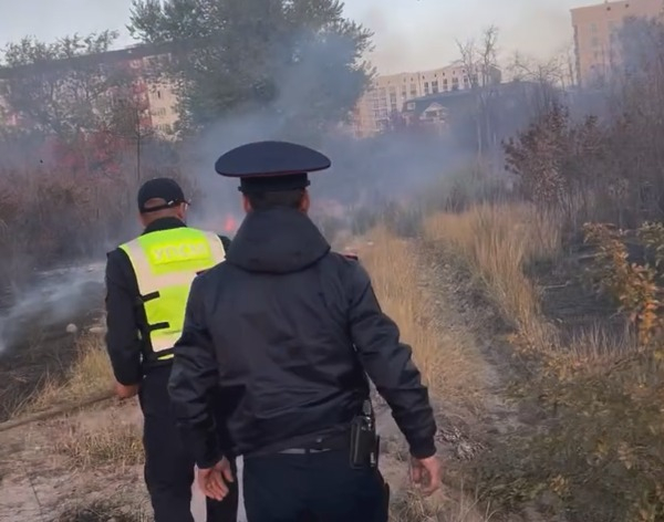 В Ботаническом саду в Бишкеке произошел пожар (видео)