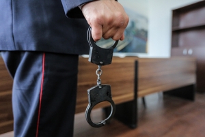 Дела чиновников на политических должностях будут рассматривать без суда