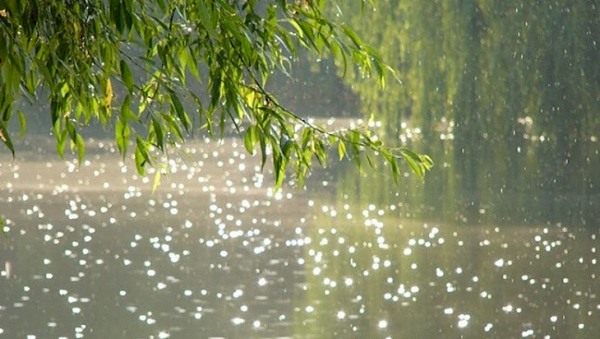 Кыргызстанда жуманын аягына чейин туруксуз аба ырайы күтүлөт