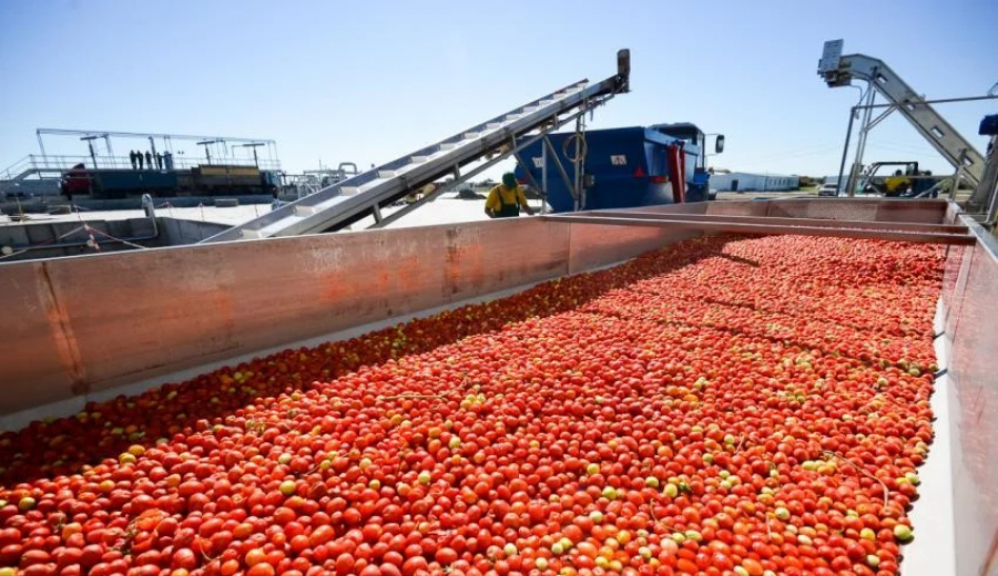 В перерабатывающей промышленности за 11 месяцев зафиксирован рост производства на 19%0
