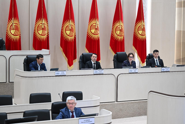 Жогорку Кенеш принял постановление о мерах по противодействию интернет и банковскому мошенничеству