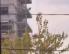 Крановщик на стройке в Бишкеке устроил опасные развлечения рабочим (видео)