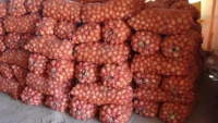 Около 35 тонн кыргызстанских овощей без маркировки не пропустили в Россию