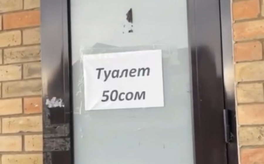 Отдыхающие на Иссык-Куле возмущены ценой за посещение туалета (видео)