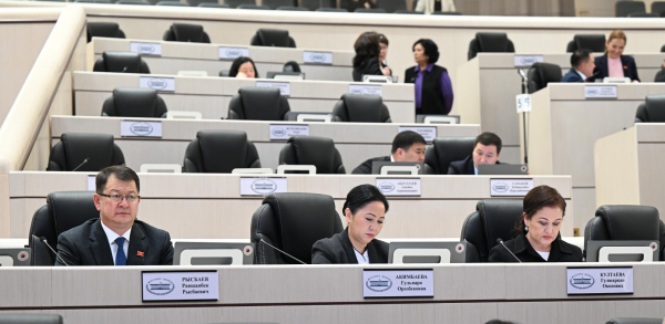 ЖК принял законопроект о ратификации Соглашения о финансировании и грантового соглашения по проекту «Единое здоровье» в третьем чтении