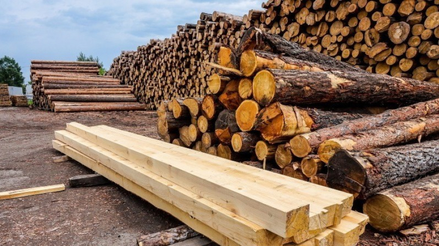 Введен временный запрет на вывоз древесины и лесоматериалов из Кыргызстана