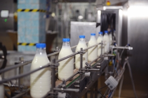 Россельхознадзор запретил поставки молочной продукции из Кыргызстана