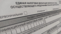 В ГНС напомнили, что 1 мая истекает срок сдачи налоговой декларации для ИП и физлиц