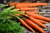 Госантимонополия: Рост цен на морковь для начала летнего сезона является традиционным