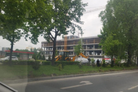 Мэрское благоустройство. Очередное уничтожение зелени в Бишкеке