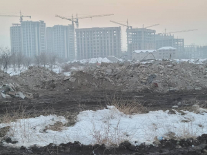 В 12-м микрорайоне посадят многолетние деревья на месте котлована