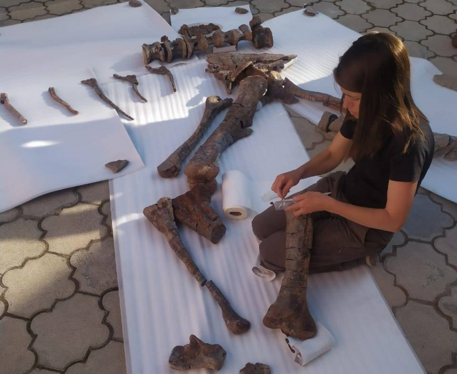 В НАН показали фото останков динозавров, найденных под Таш-Кумыром