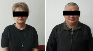 В Сокулуке более 100 гражданам незаконно выдали пастбищные земли под ИЖС