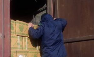В Кыргызстан не пропустили более 50 тонн яблок из Китая