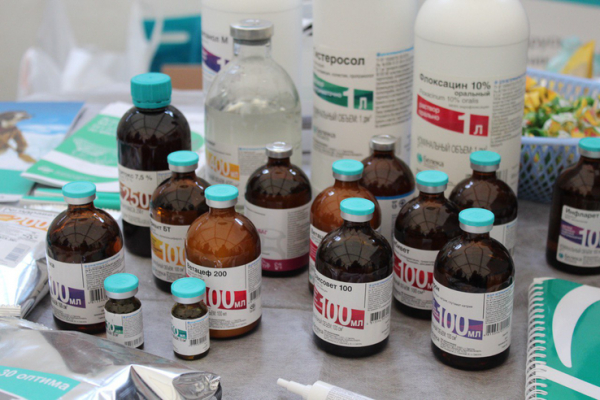 В Кыргызстане хотят запретить продажу ветеринарных препаратов без рецепта