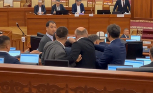 В Жогорку Кенеше чуть не подрались два депутата - видео