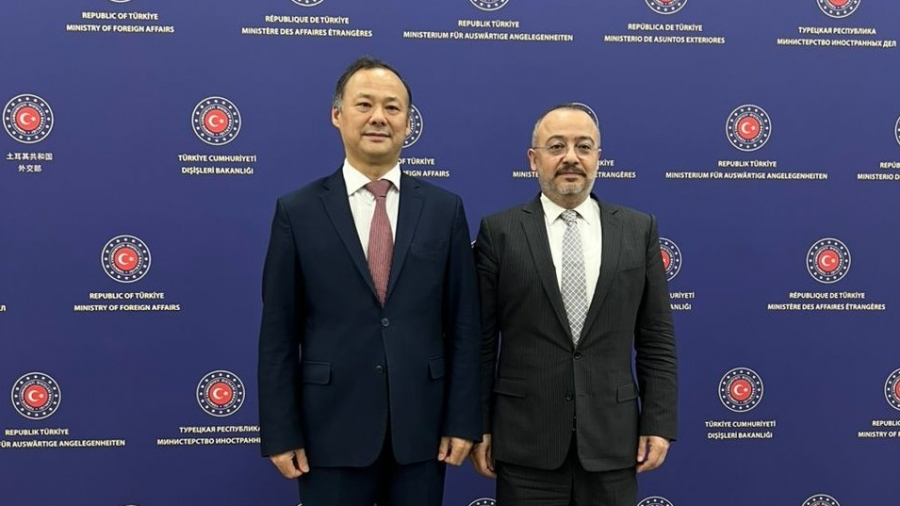 Кыргызстан попросил Турцию увеличить квоту на бесплатное лечение