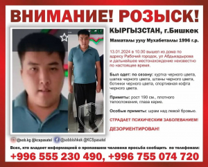 В Аламединском ущелье третий день ищут пропавшего 29-летнего парня - видео