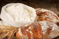 Казахстан наращивает экспорт зерна в Кыргызстан