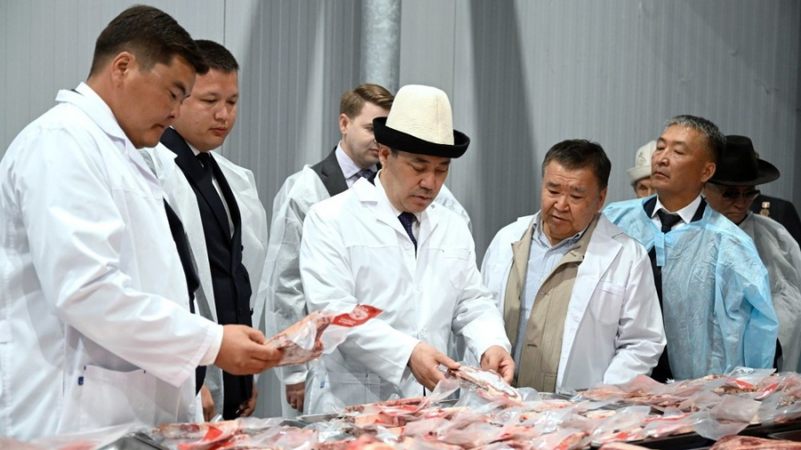Садыр Жапаров открыл крупный завод по переработке мяса в Балыкчы
