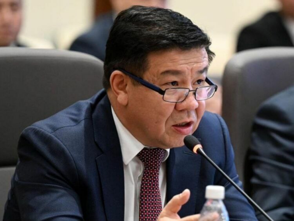 Глава Налоговой службы объяснил, почему «Кыргызнефтегаз» не проверяли при Ташиеве