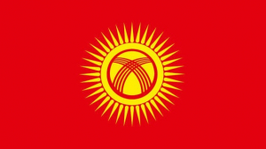 Кыргызстан официально сменил флаг