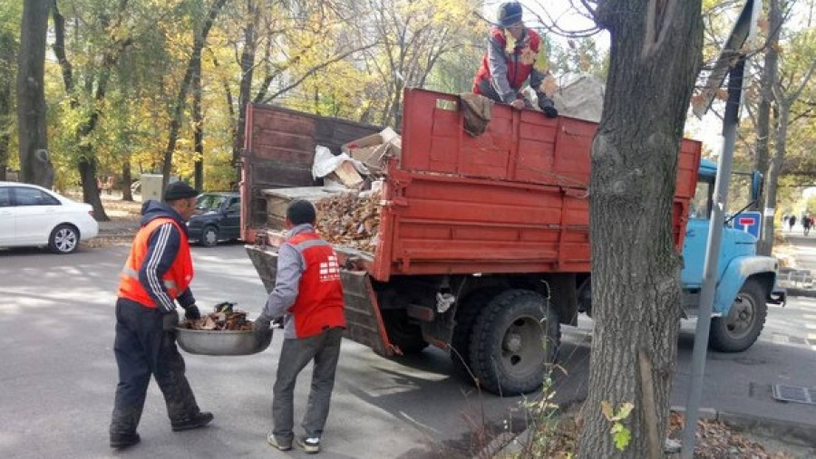 МП «Тазалык» рассказало бишкекчанам, что можно выбрасывать в мусорные баки