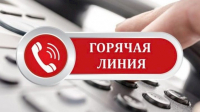 Горячая линия ЦИК теперь доступна для кыргызстанцев в России и Казахстане