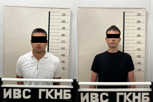 В Бишкеке за коррупцию задержаны сотрудники ветеринарной службы