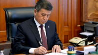 «Даже если президент не подпишет закон Асылбаевой, депутаты смогут его протащить»
