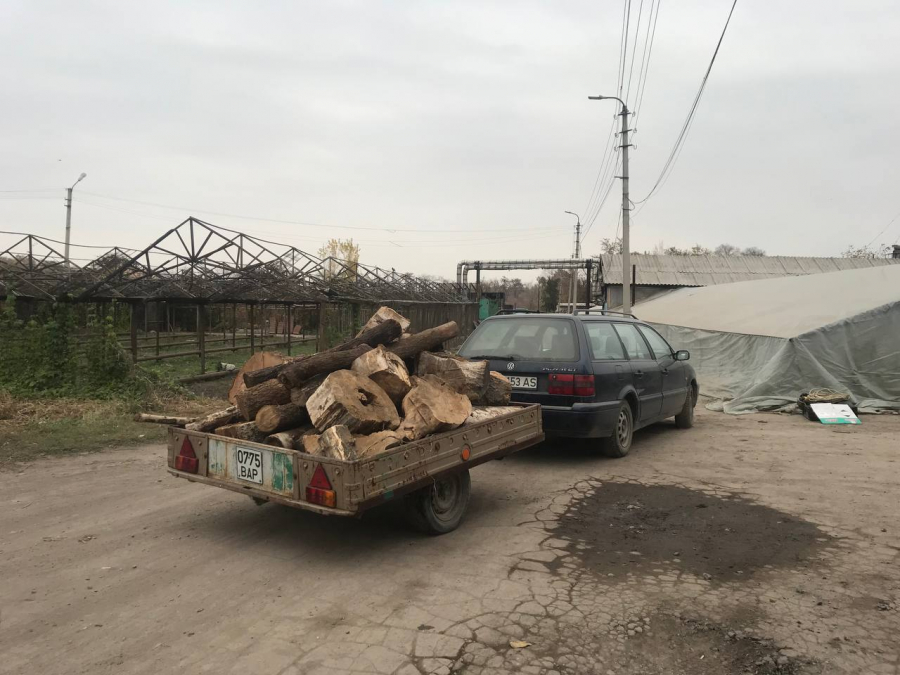 МП «Бишкекзеленхоз» начало раздачу имеющихся дров малоимущим семьям