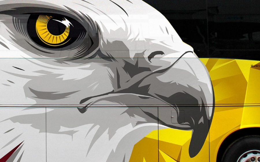 Кто изображен на хвосте президентского самолета – орлан или сокол? (фото)