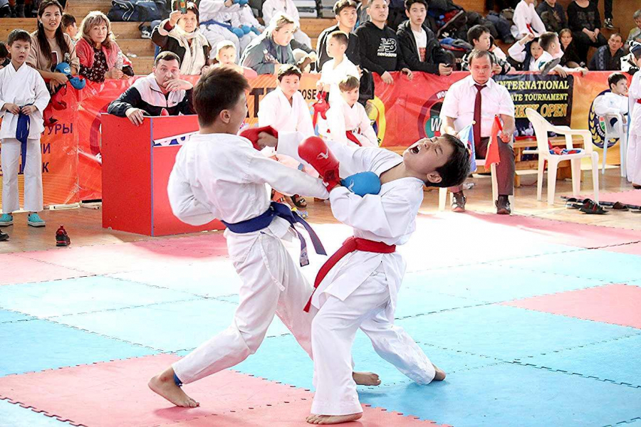 Sport Karate WKF