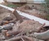 В Тунгуче вырубили целую аллею деревьев, чтобы проложить арык (видео)