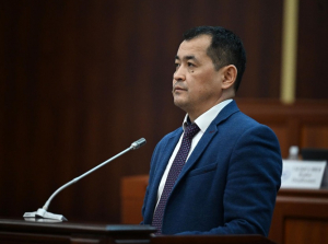 ЖК одобрил кандидатуру Эркина Чечейбаева на должность главы Минздрава